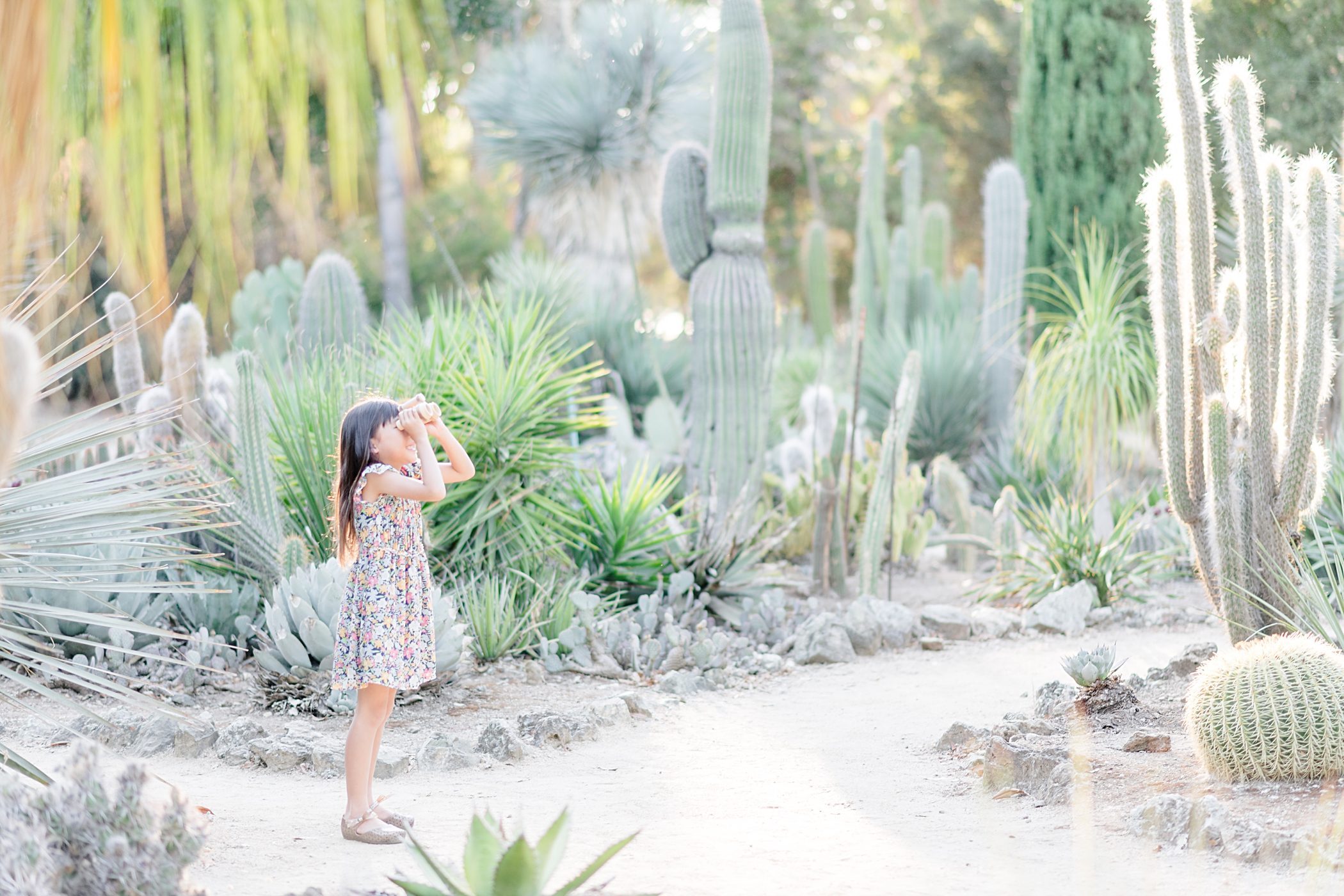 Arizona Cactus Garden Light And Airy Family Photography
