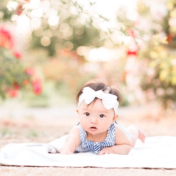 Lindsey & Nick Family Portrait Session | San Jose Heritage Rose Garden