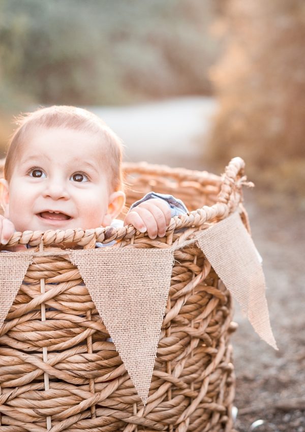 Dominic's First Birthday Session