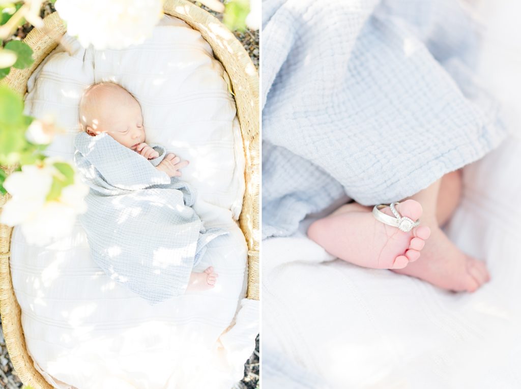 Rose Garden Lifestyle Newborn Session