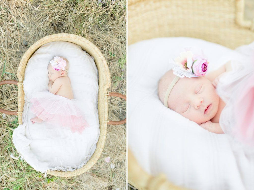 San Jose Garden Newborn photoshoot