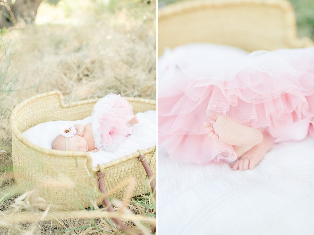 San Jose Garden Newborn photoshoot