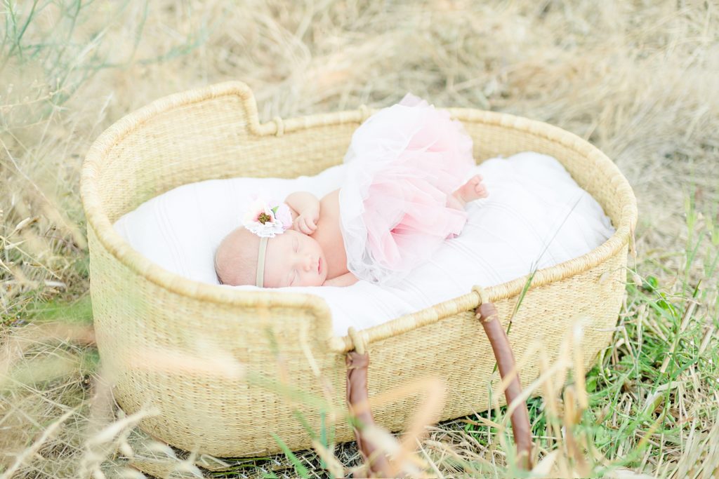 San Jose Garden Newborn photoshoot