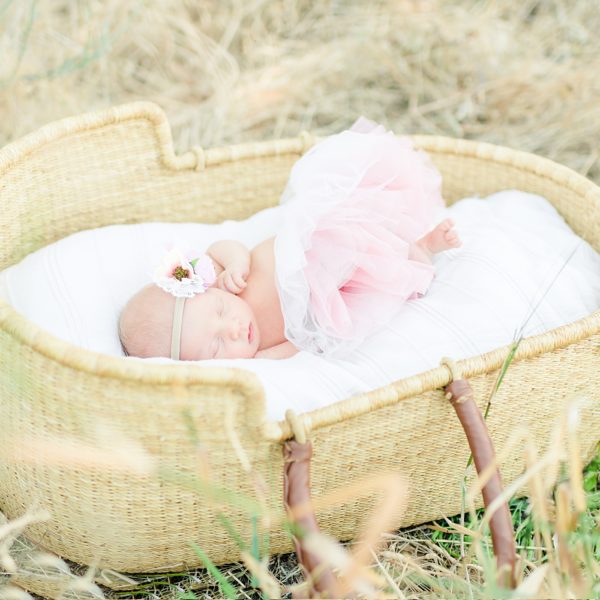Rose Garden Lifestyle Newborn Session