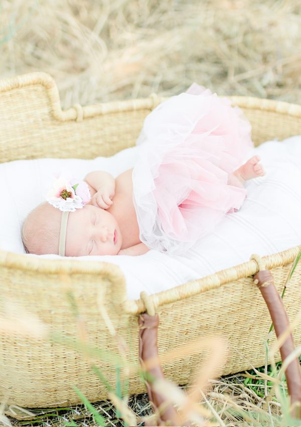 Lifestyle Newborn Photoshoot | Rose Garden, San Jose