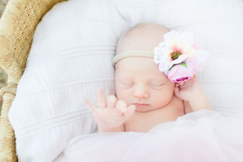Rose Garden Lifestyle Newborn Session