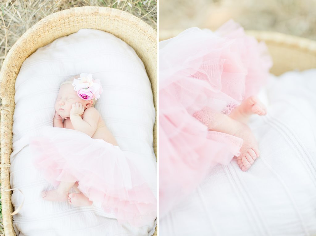 Rose Garden Lifestyle Newborn Session