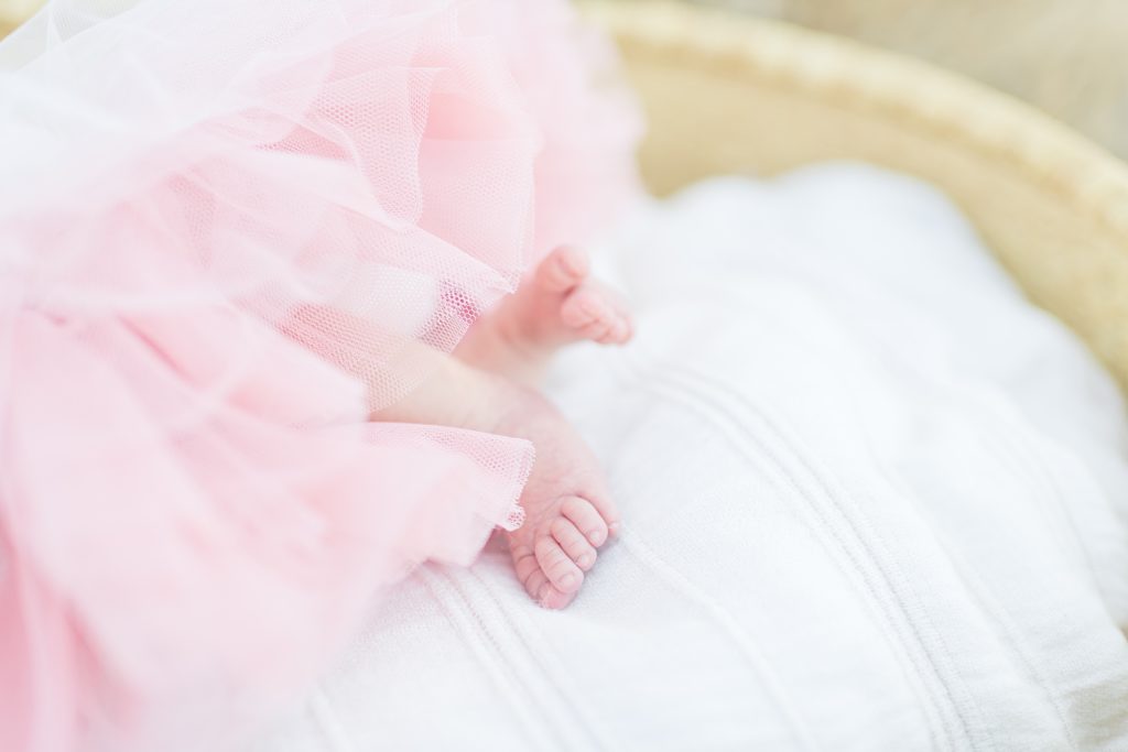 Rose Garden Lifestyle Newborn Session