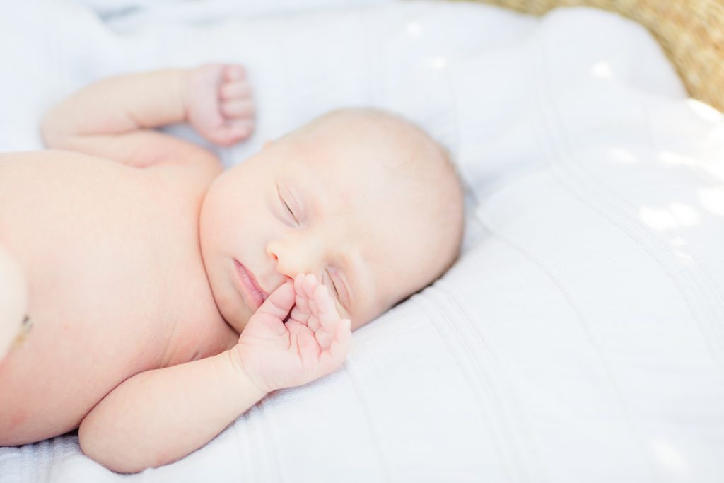 Rose Garden Lifestyle Newborn Session