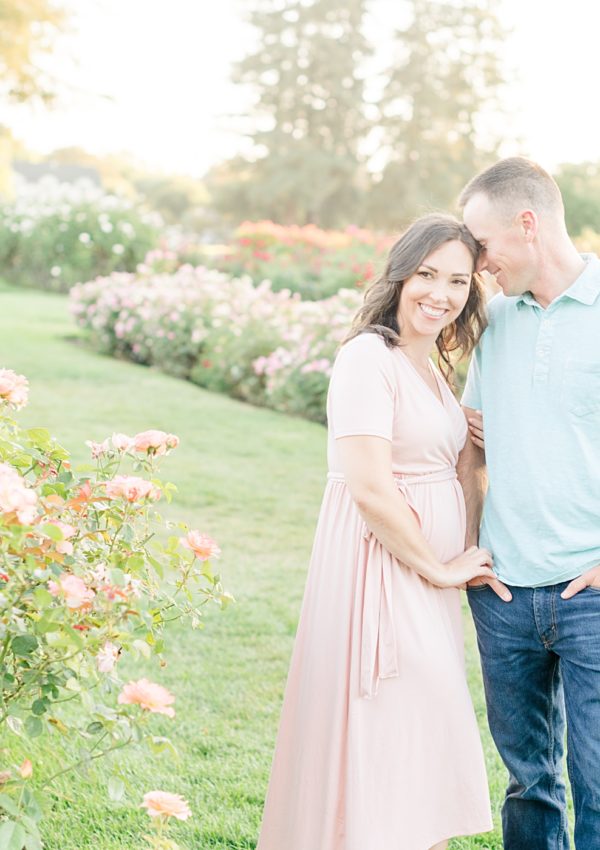 San Jose Rose Garden Pregmnancy Announcement Photoshoot