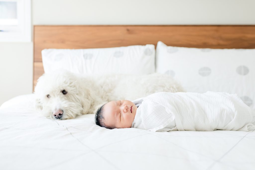 San Jose Light and Airy Newborn Photography