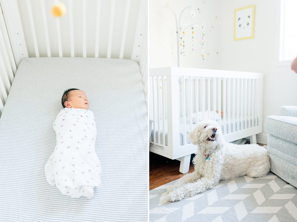 San Jose Light and Airy Newborn Photography