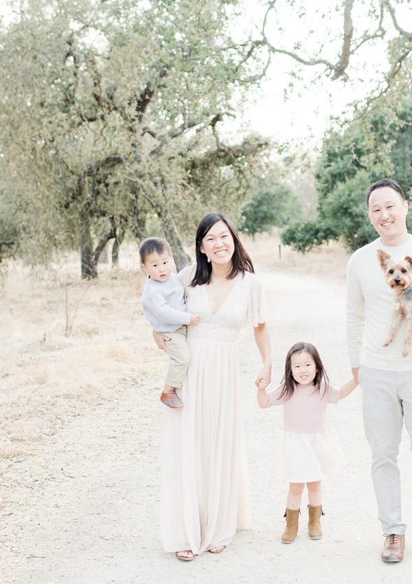 San Jose Light and Airy Family Photographer