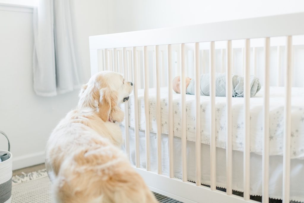 Los Gatos Light and Airy Newborn Photographer in Gender Neutral Nursery