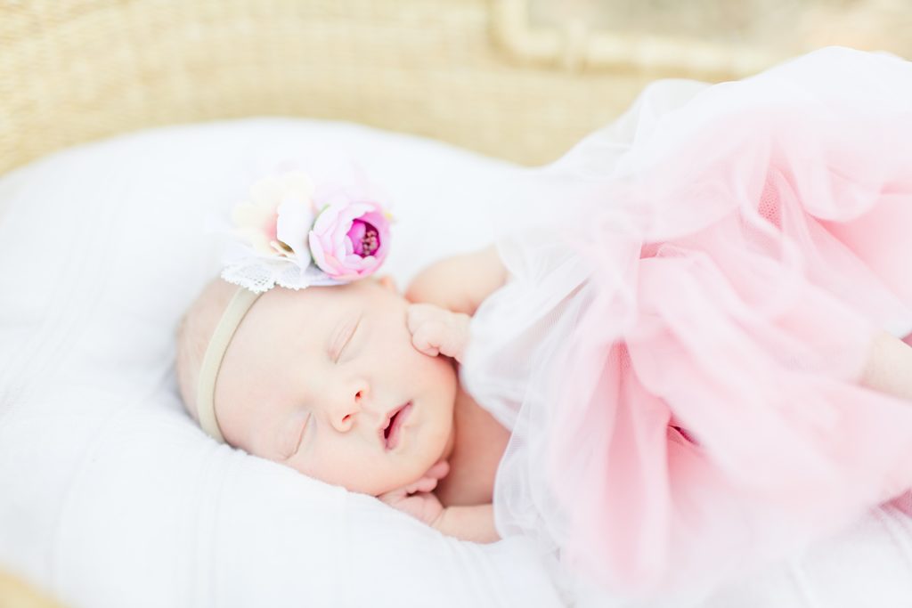 newborn photography San Jose