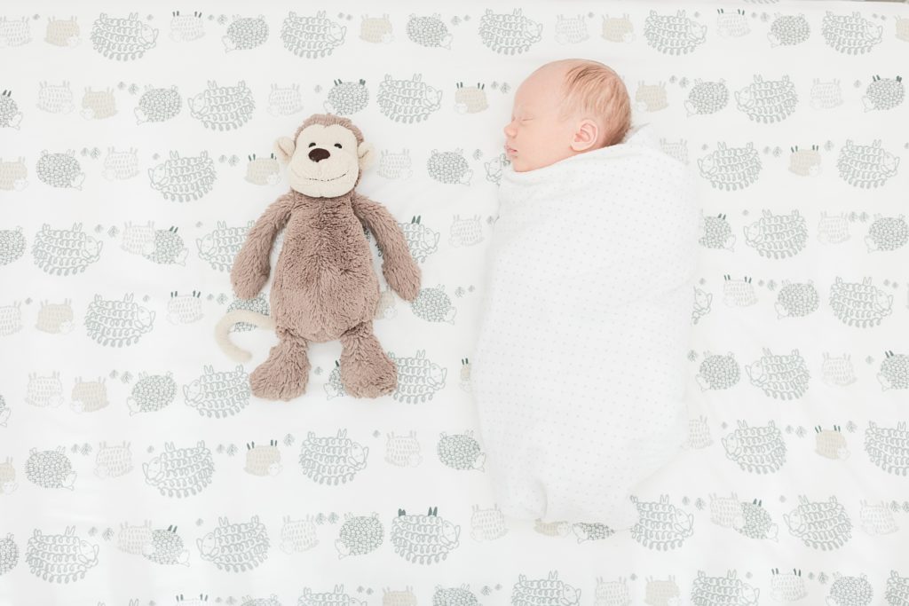 newborn photographer San Jose