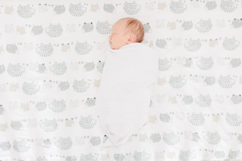 Santa Clara Lifestyle Newborn Photographer