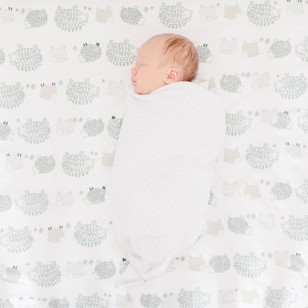 Santa Clara Lifestyle Newborn Photographer