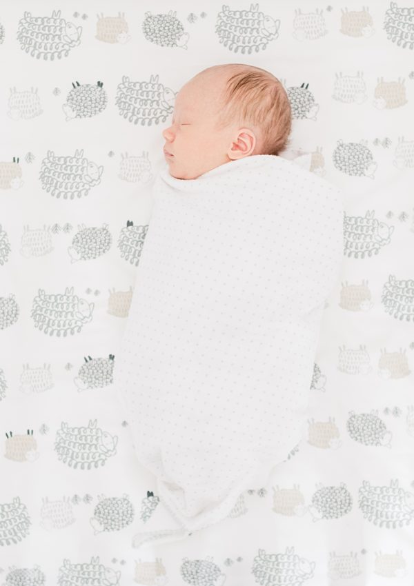 Devany & Edward – Santa Clara Newborn Photography