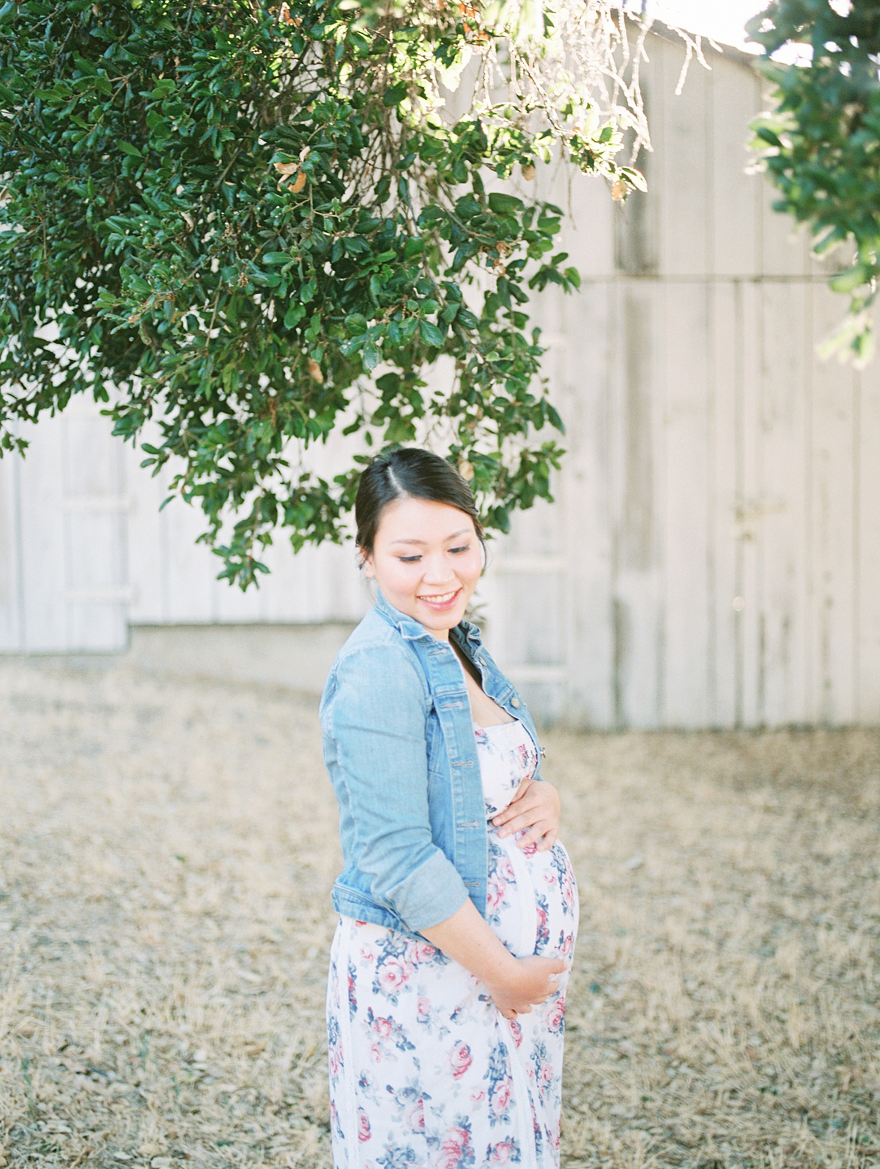 Bay Area Maternity Film Photographer