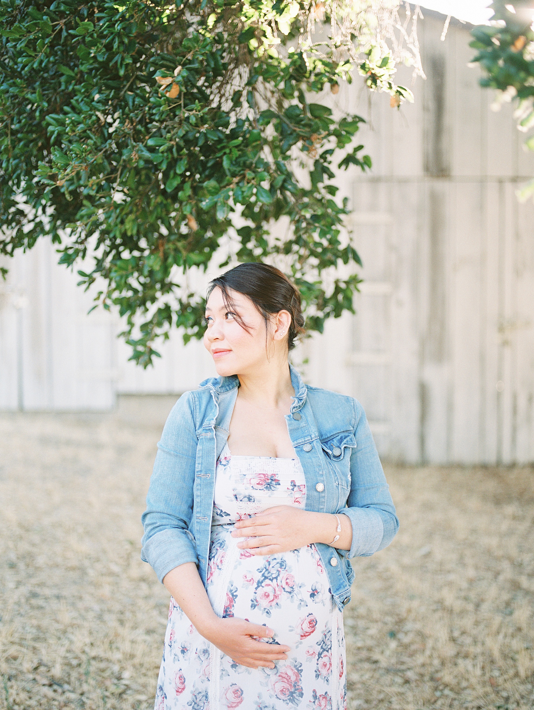 Bay Area Maternity Film Photographer