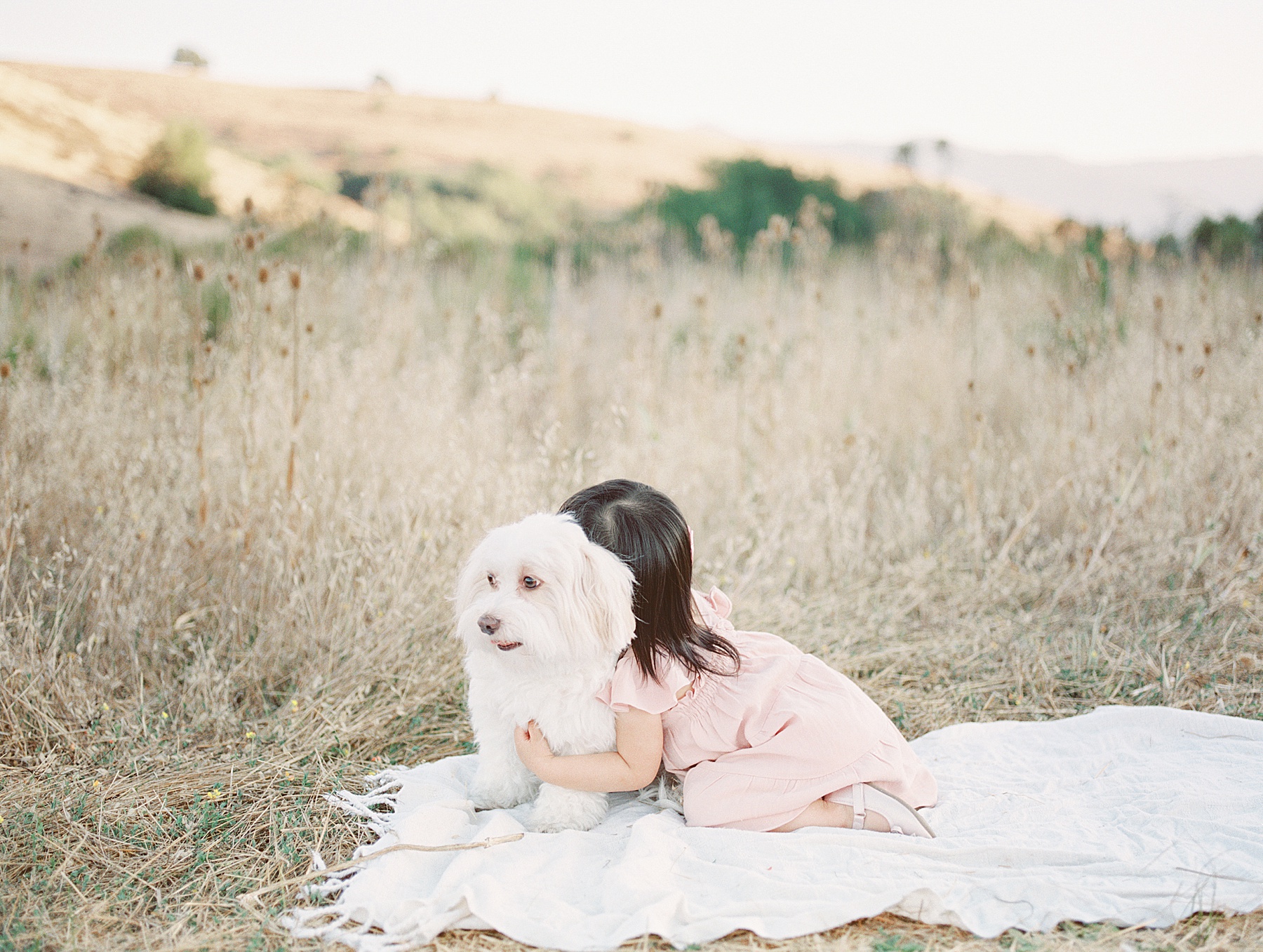 Bay Area Family Maternity Film Photographer