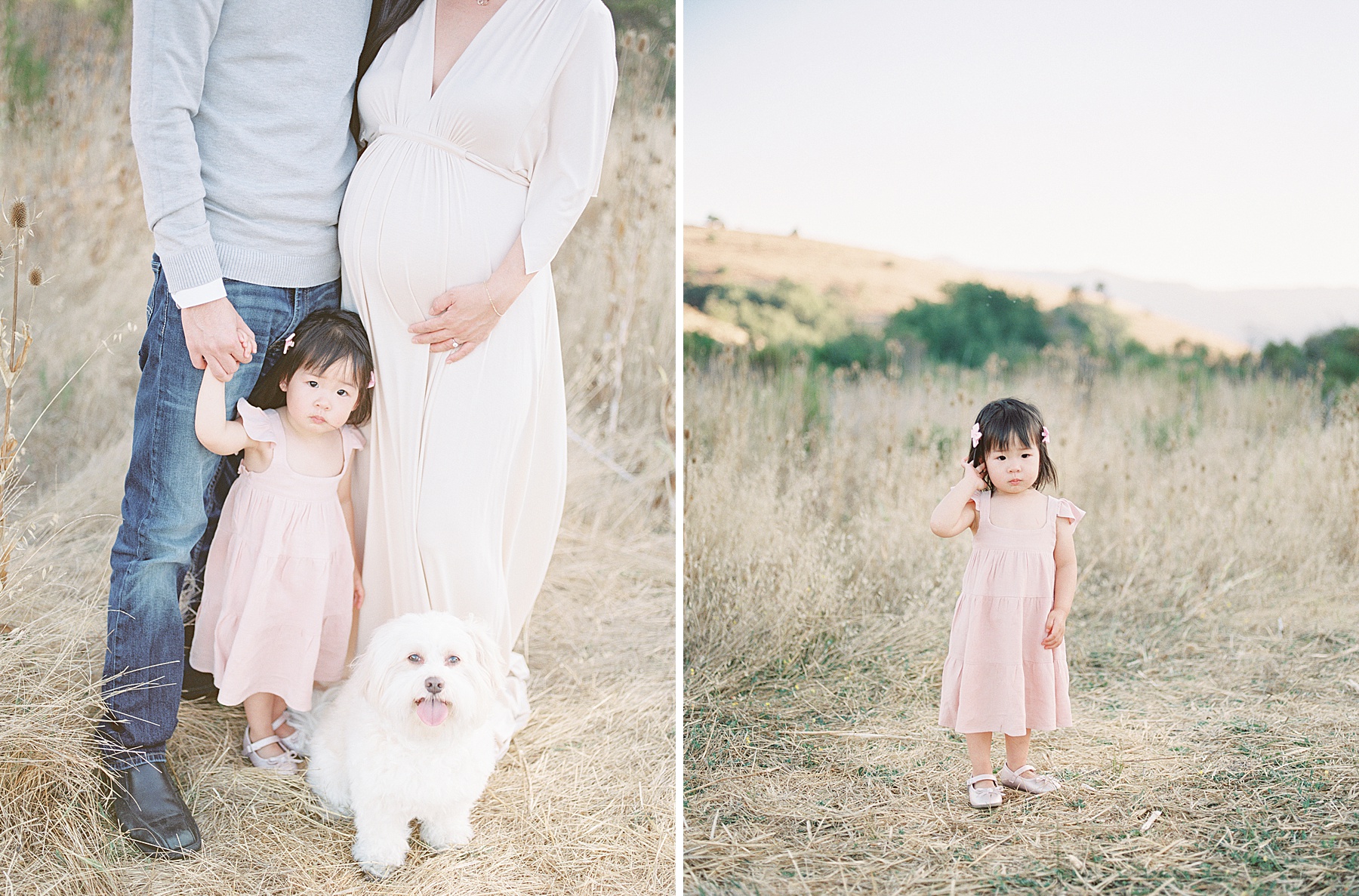 Bay Area Family Maternity Film Photographer