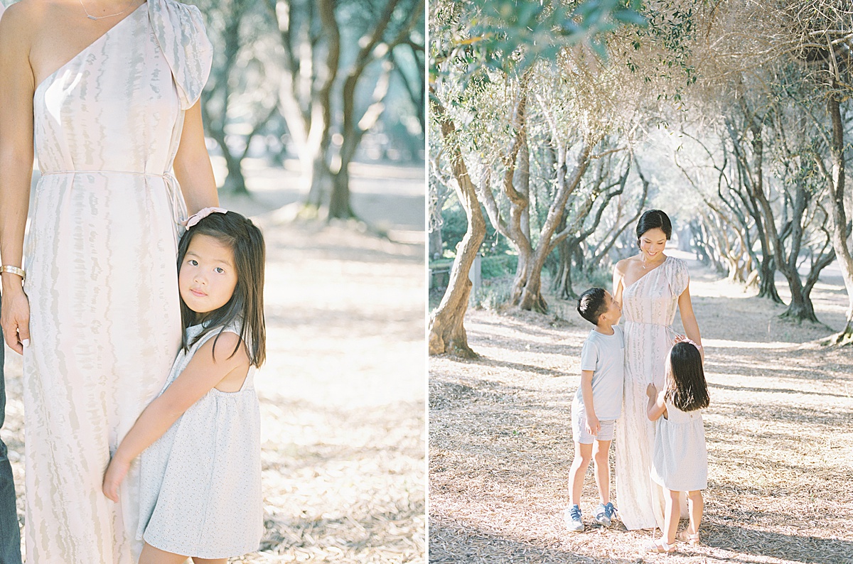 Olive Orchard Family Session
