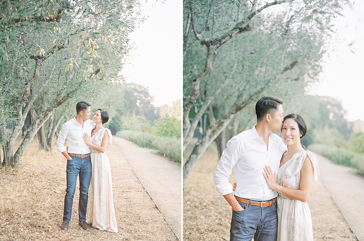 Olive Orchard Family Session