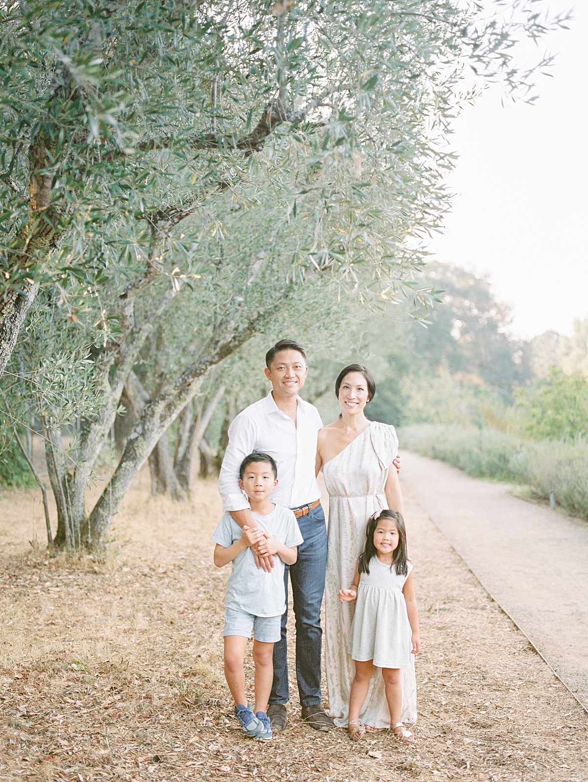 Olive Orchard Family Session