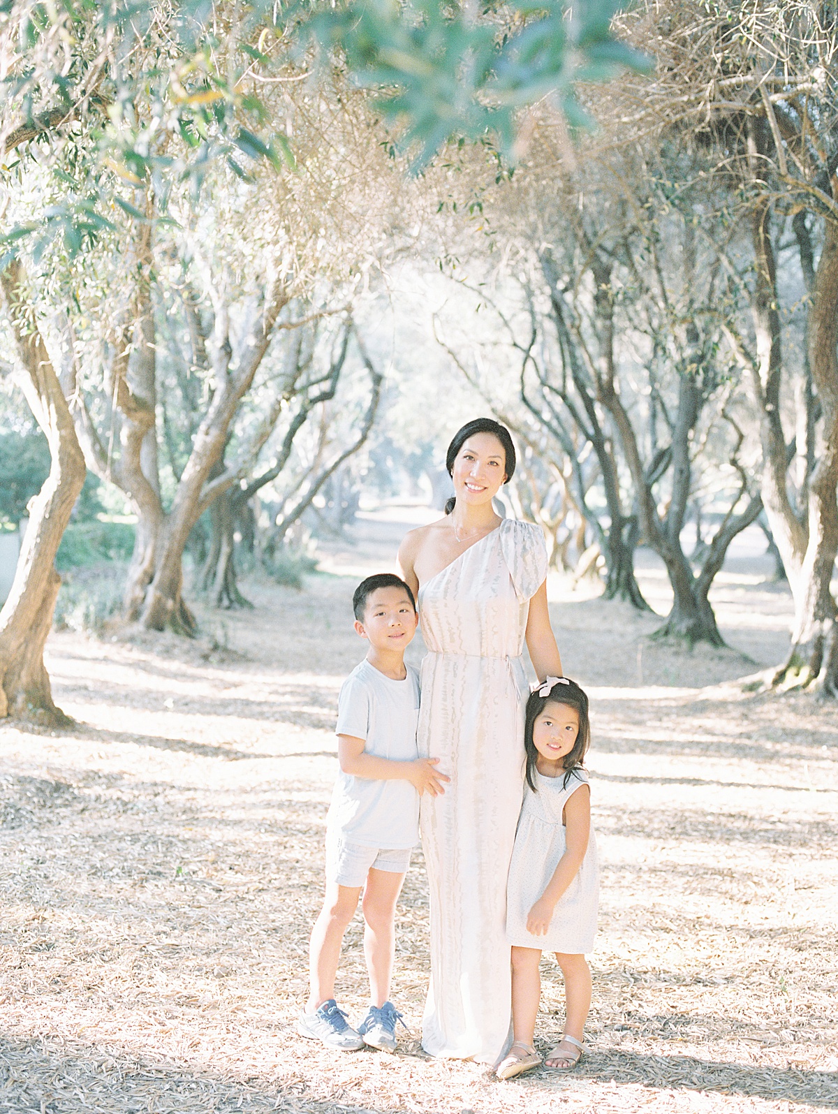 Olive Orchard Family Session