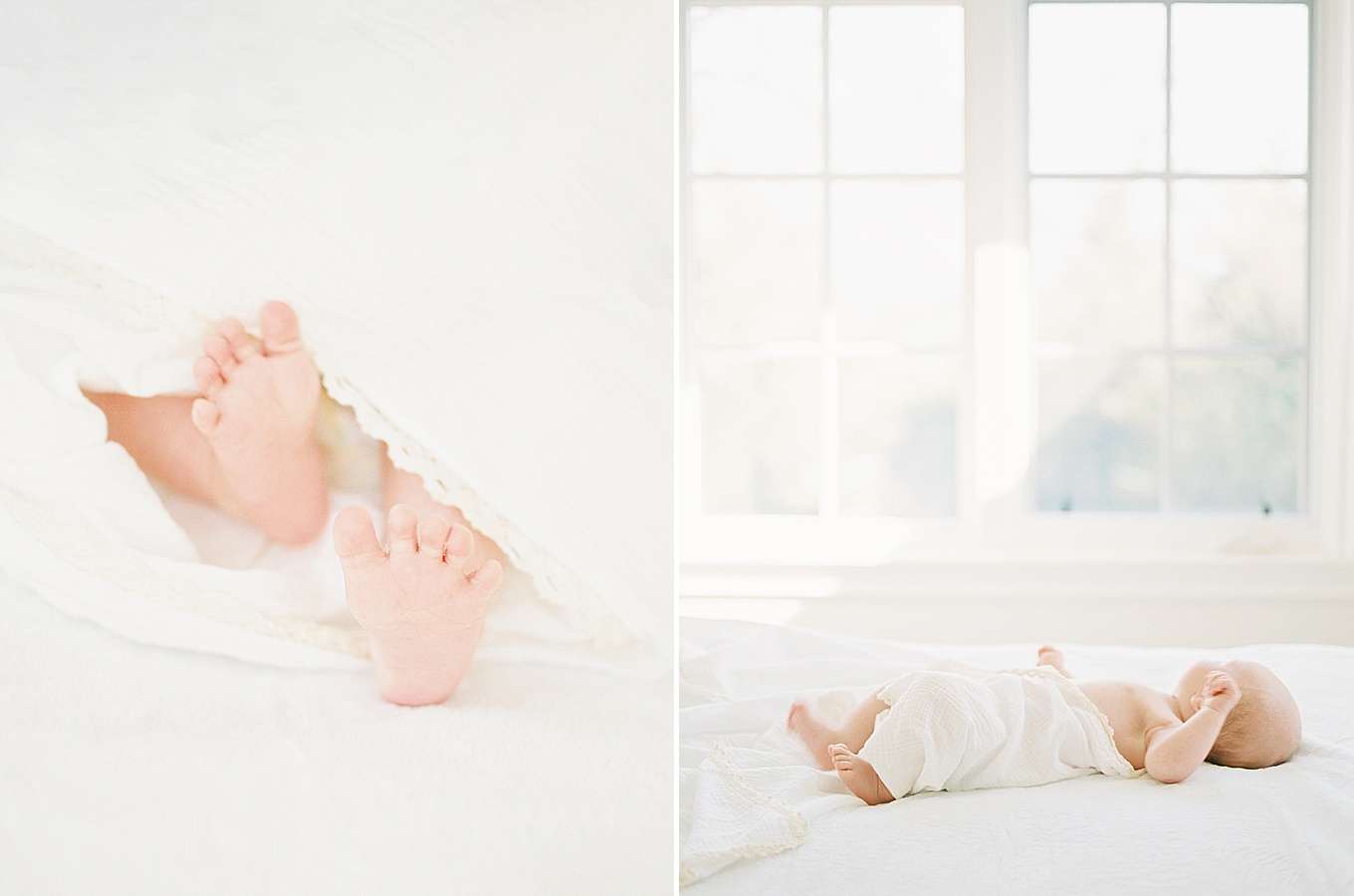 Los Gatos Newborn Portraits