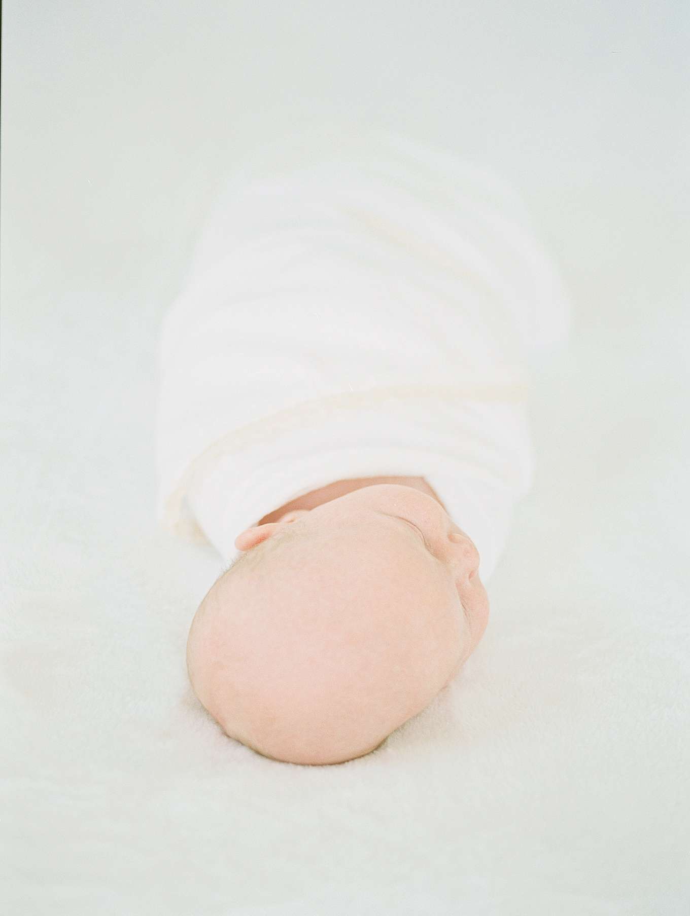 Los Gatos Newborn Portraits