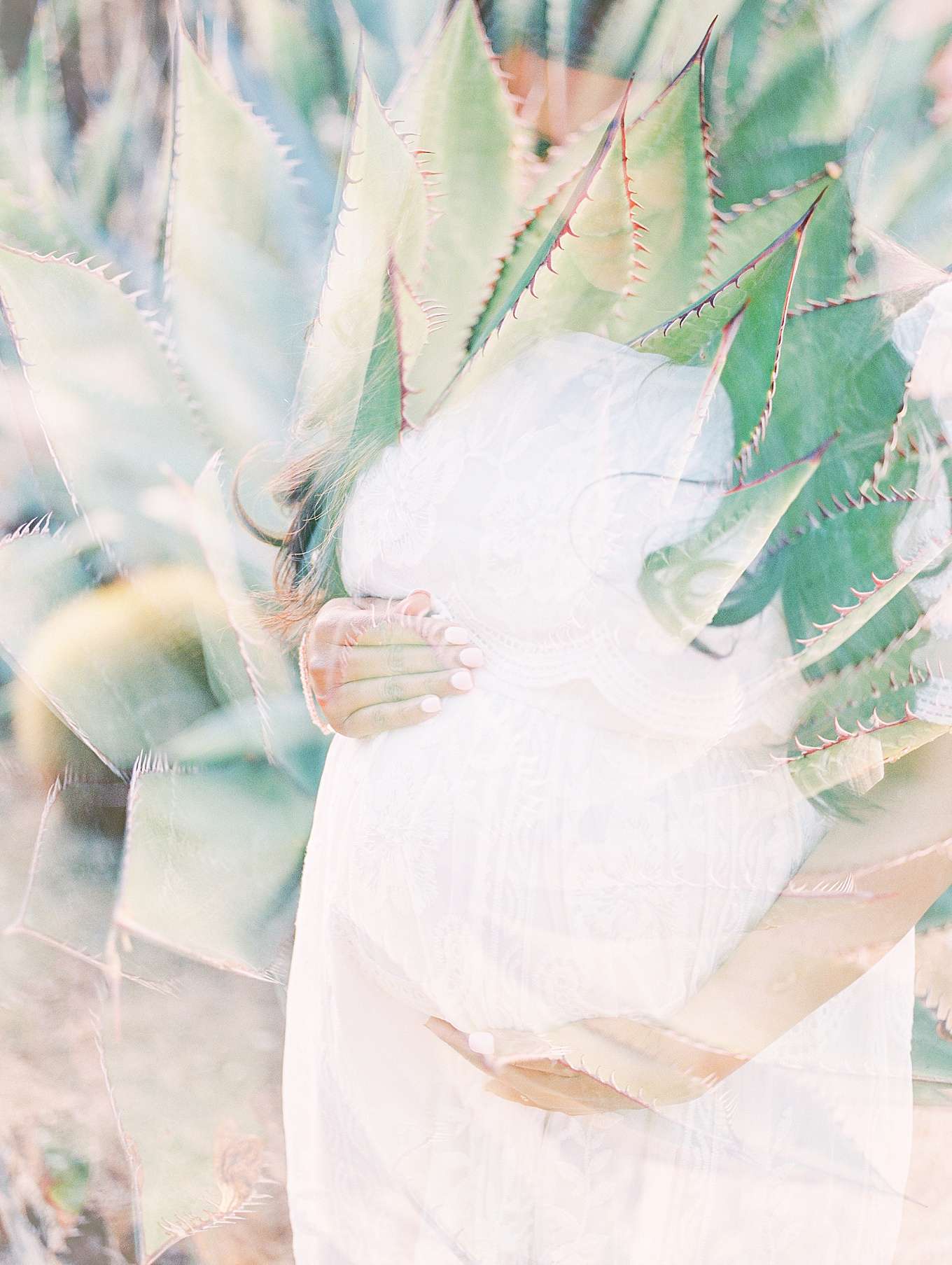 Cactus Garden maternity Photoshoot