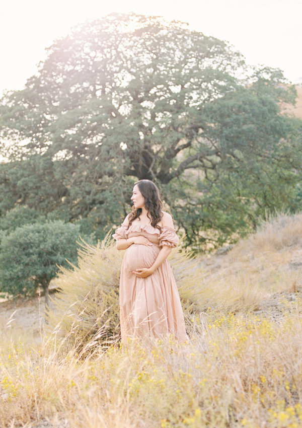 Helen & David – Walnut Creek Maternity Photographer