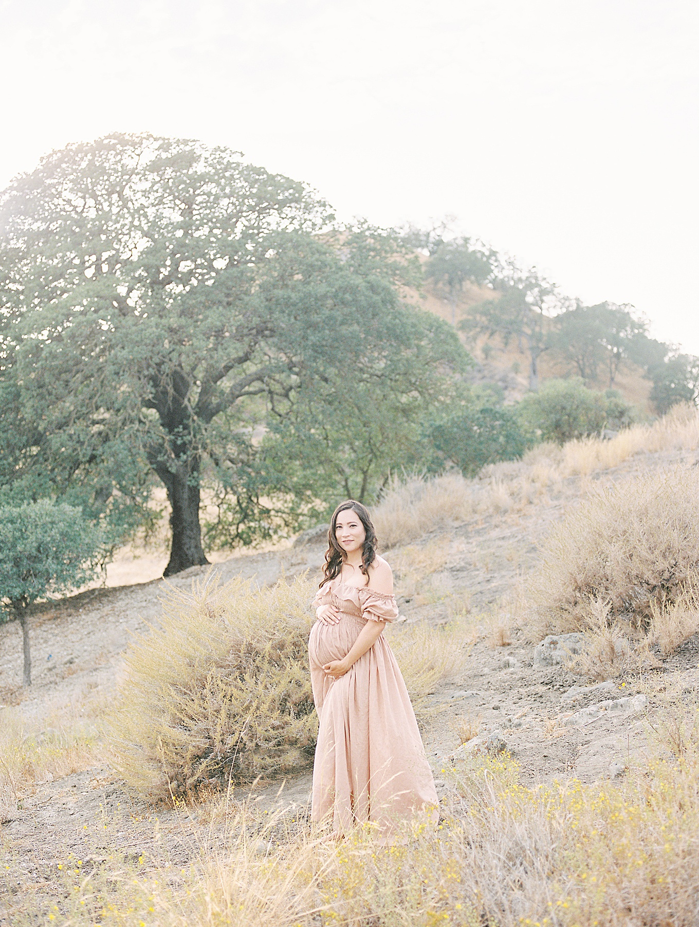 Walnut Creek Maternity Photographer