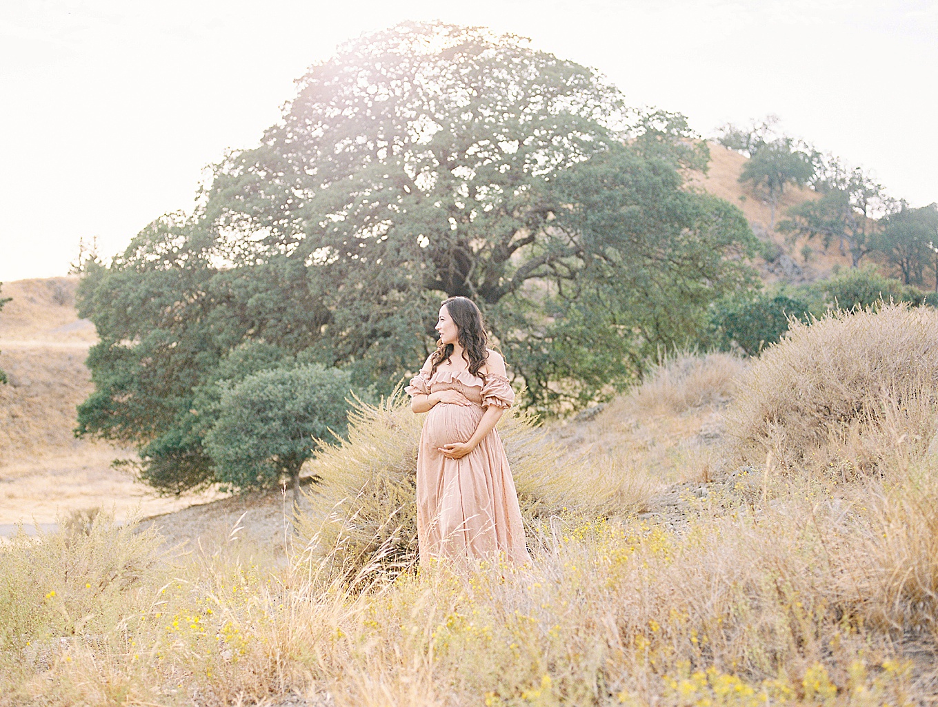 Walnut Creek Maternity Photographer