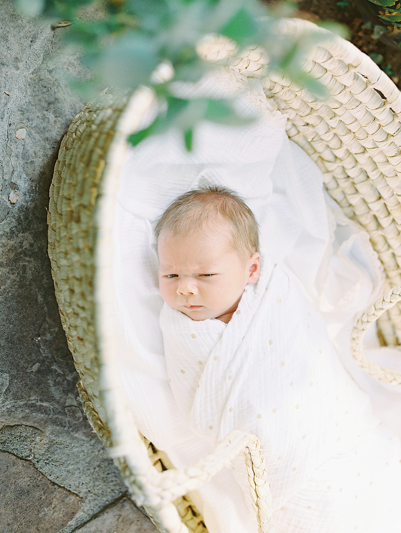 Bay Area Garden Newborn Session