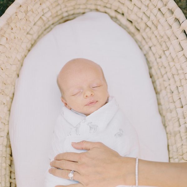 Danville Newborn photographer