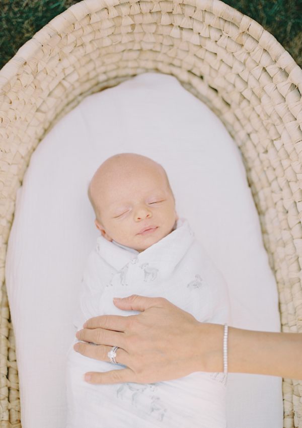 Danville Newborn Photographer