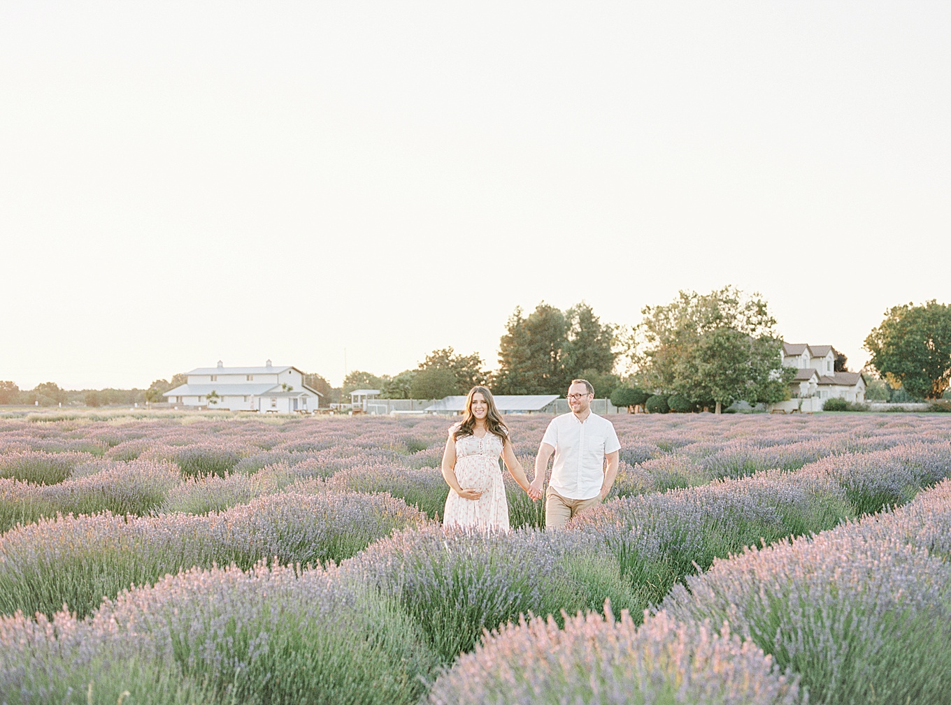 Bay Area Lavender Field Maternity Photography