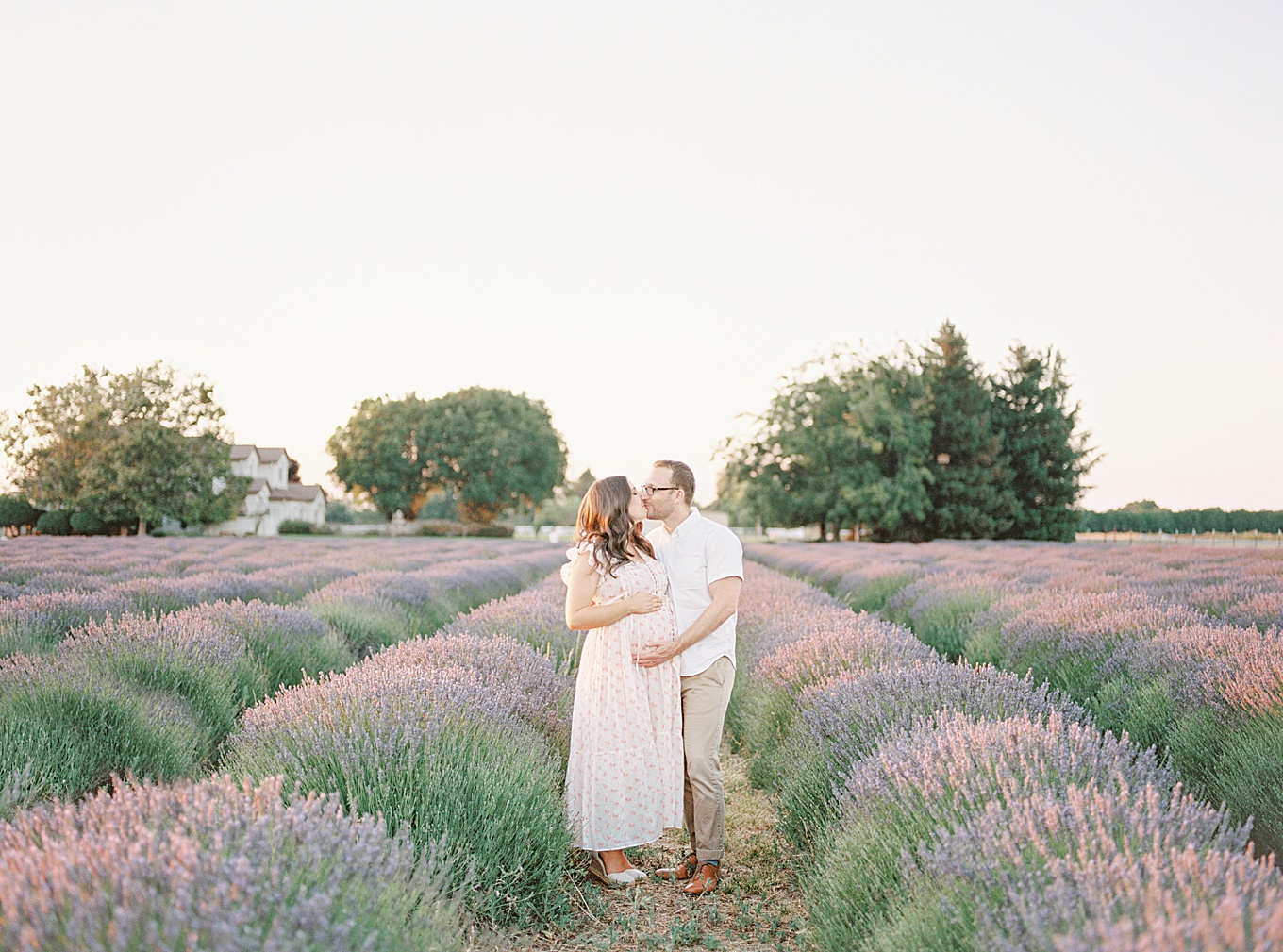 Bay Area Lavender Field Maternity Photography