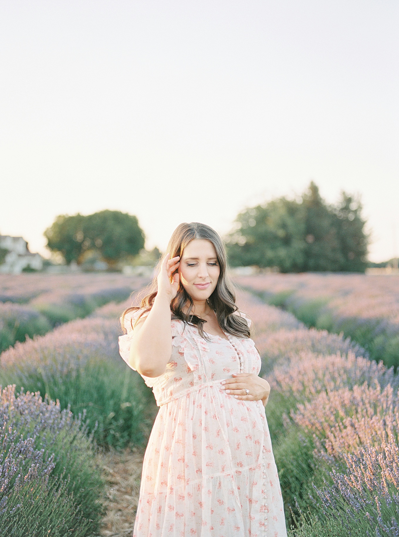 Bay Area Lavender Field Maternity Photography