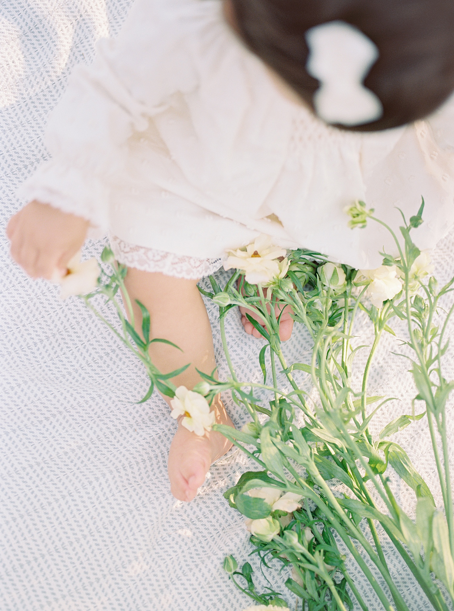 san jose family photographer