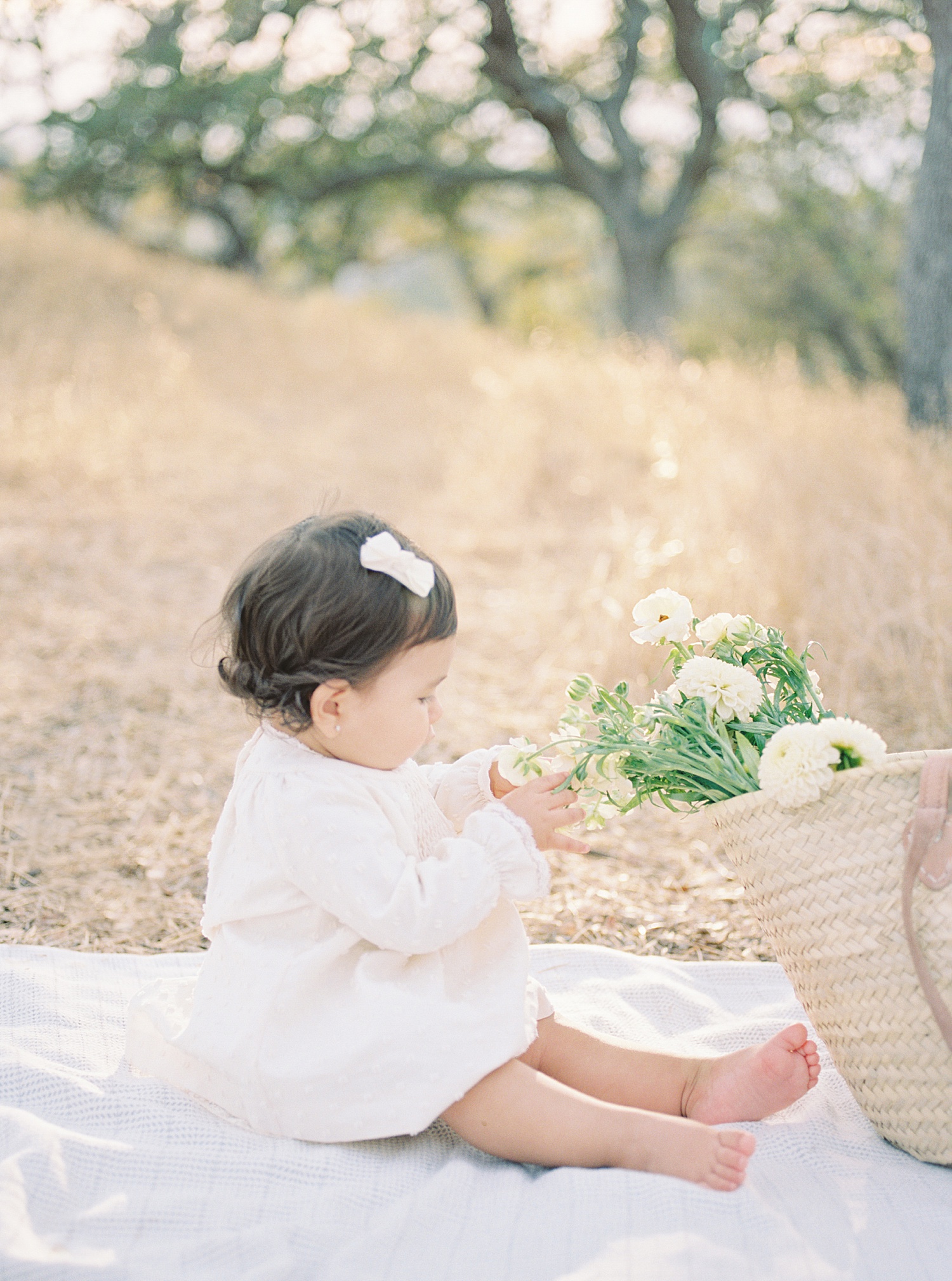 san jose family photographer