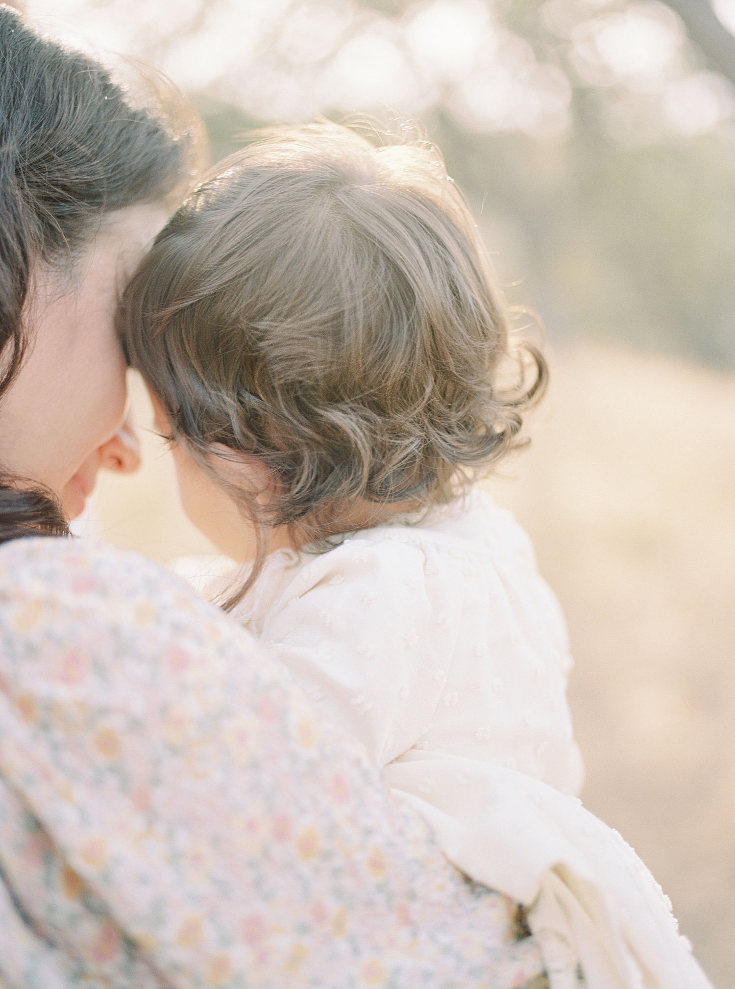 san jose family photographer