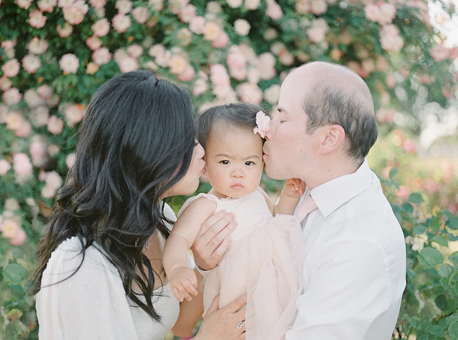 San Jose Rose garden family photoshoot