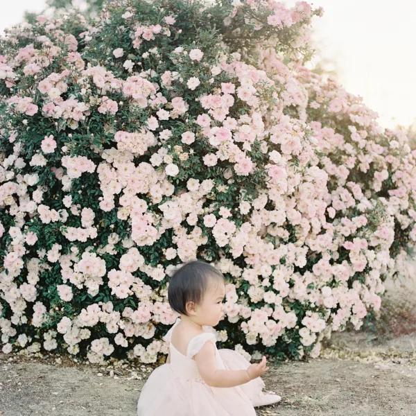 San Jose Rose Garden First Birthday Photoshoot