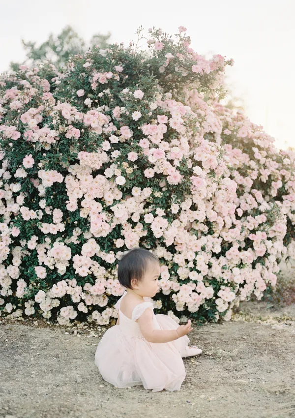 San Jose Rose Garden First Birthday Photoshoot