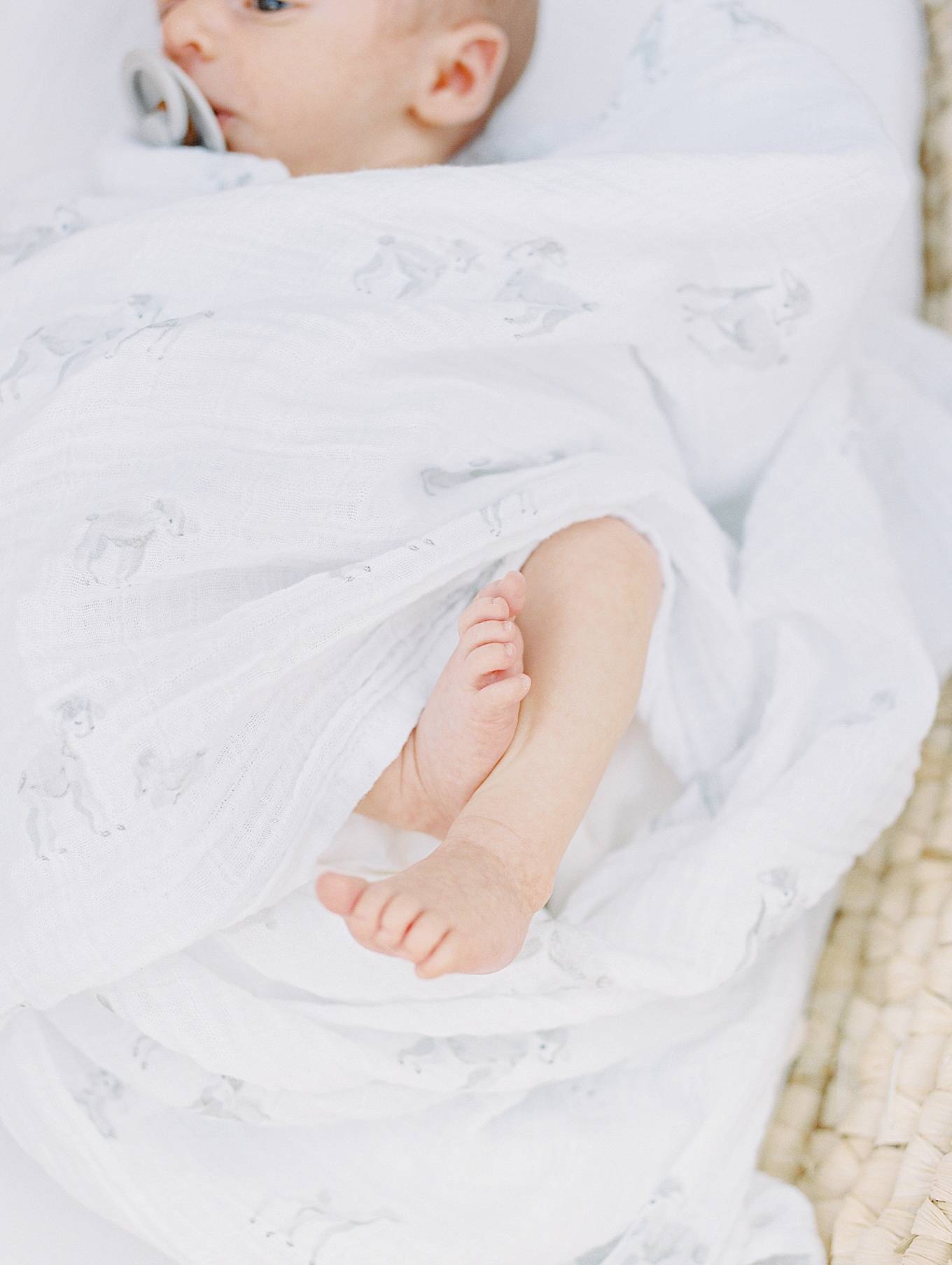 Danville Newborn photographer